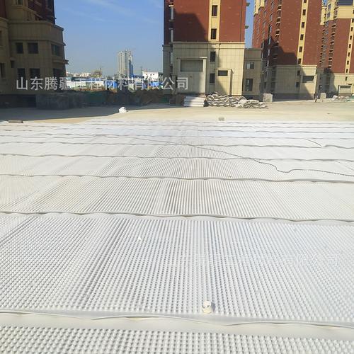 hdpe排水板生产厂家社区屋顶绿化塑料排水板土工布公路隧道疏水板